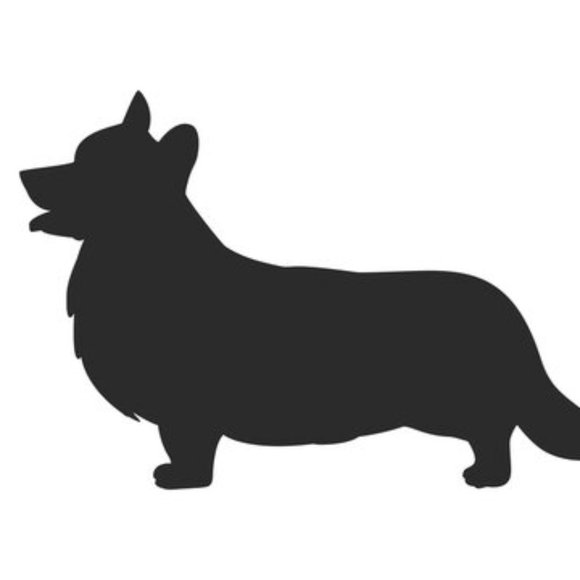 Meet your Posher, Jacqueline - Picture 1 of 1